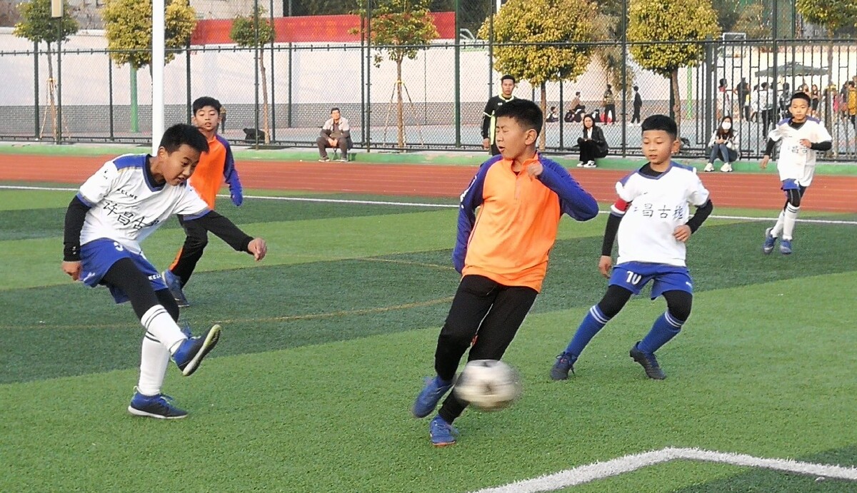 再次证明了 再次证明了