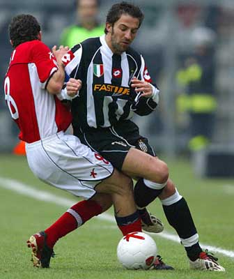 战术秩序的 战术秩序的